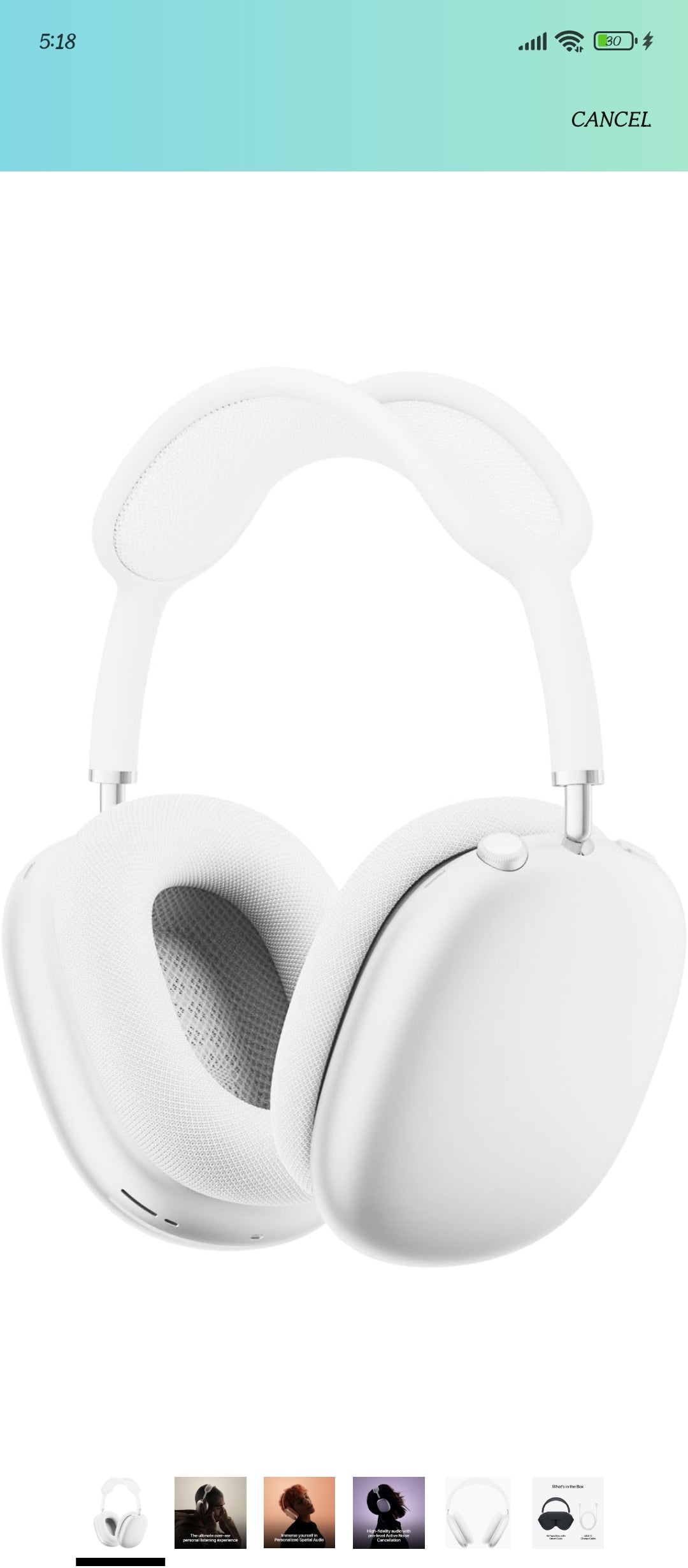 Apple Headphones max
